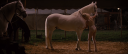 RWA0029.PNG