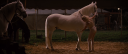 RWA0030.PNG