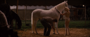 RWA0038.PNG
