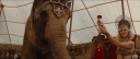 RWA1144.PNG