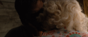 RWA1550.PNG